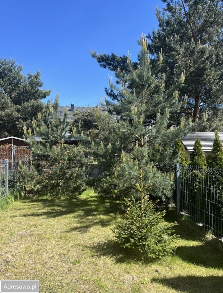 Mieszkanie 5-pokojowe Lębork, ul. Wileńska. Zdjęcie 13