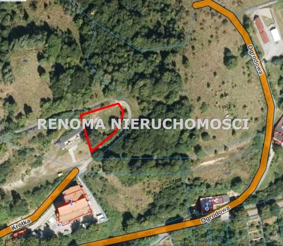 Działka budowlana Srebrna Góra, ul. Ogrodowa. Zdjęcie 1