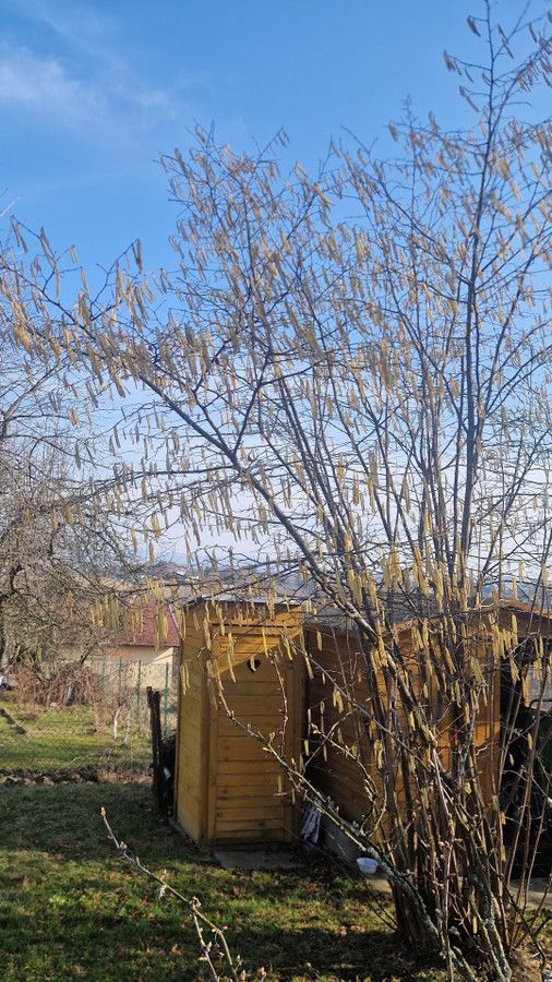 Działka rod Cieszyn. Zdjęcie 4