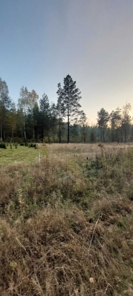 Działka budowlana Żebrówka. Zdjęcie 8