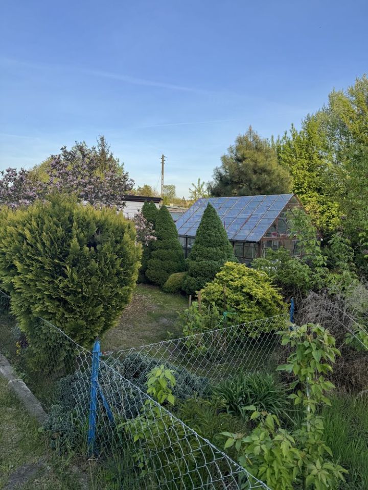 Działka rod Zgierz, ul. Piaskowa. Zdjęcie 3