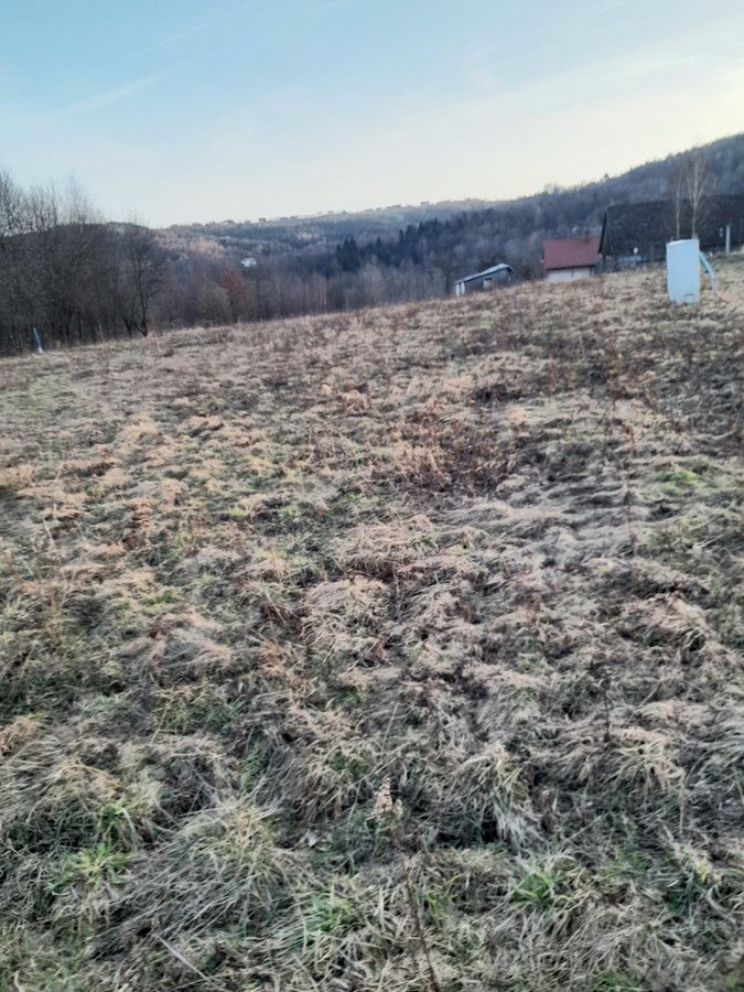 Działka rolna Ruda Kameralna. Zdjęcie 4