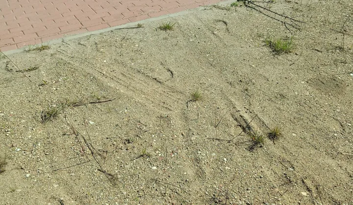 Działka budowlana Jedwabne