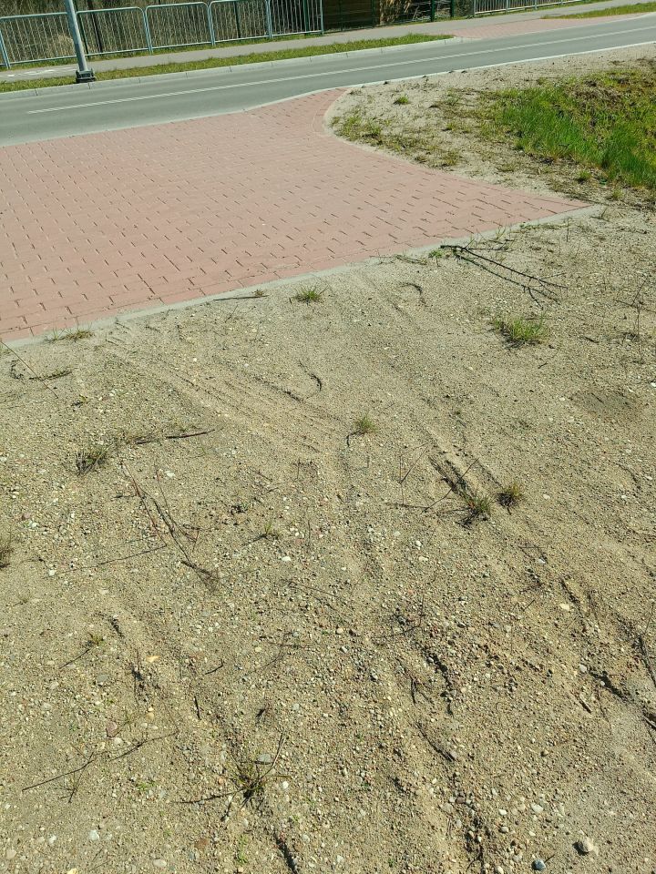 Działka budowlana Jedwabne. Zdjęcie 1