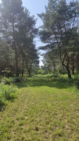 Działka budowlana Bartoszówka. Zdjęcie 8