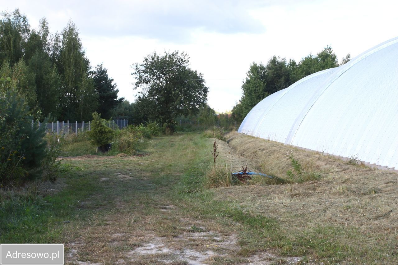 Hala/magazyn Nasielsk, ul. Płońska. Zdjęcie 6