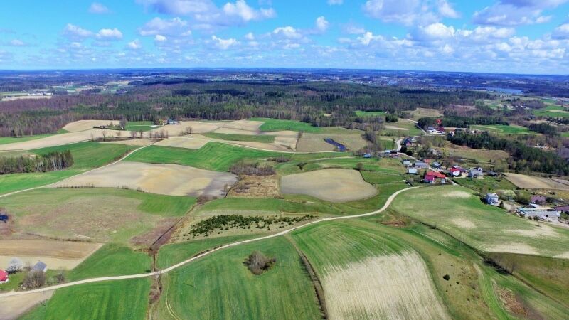 Działka budowlana Borowy Las. Zdjęcie 6