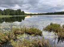 Działka rolno-budowlana Talki