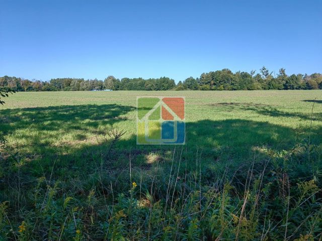 Działka rolna Zaborów Nowy. Zdjęcie 7