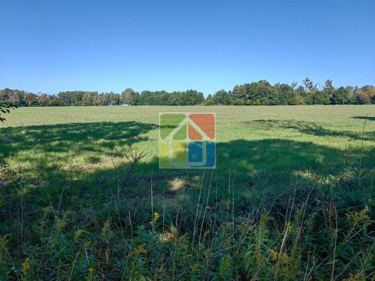 Działka rolna Zaborów Nowy. Zdjęcie 7