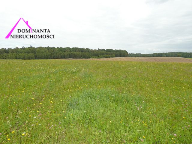 Działka rolna Gronowo. Zdjęcie 9