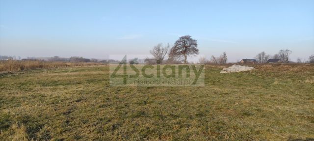Działka rolno-budowlana Cholewy. Zdjęcie 6