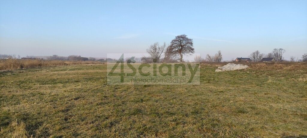 Działka rolno-budowlana Cholewy. Zdjęcie 6