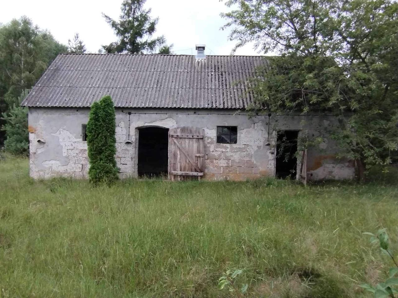 Działka rolna Wólka. Zdjęcie 8