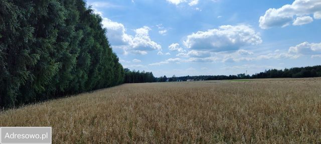 Działka rolna Słup Drugi. Zdjęcie 1