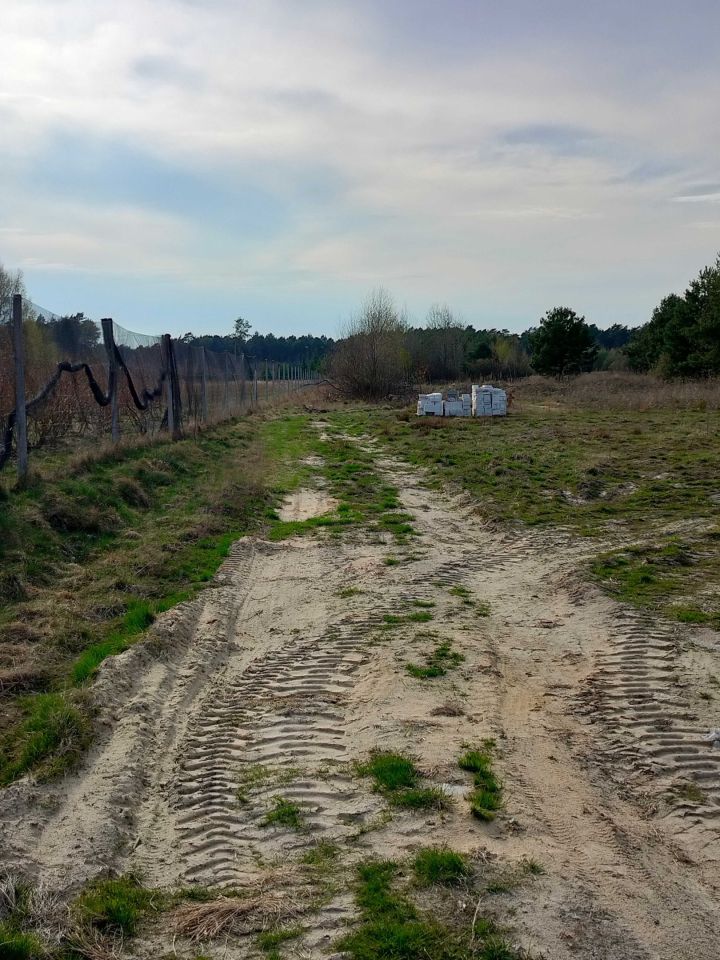 Działka budowlana Podlesie. Zdjęcie 2