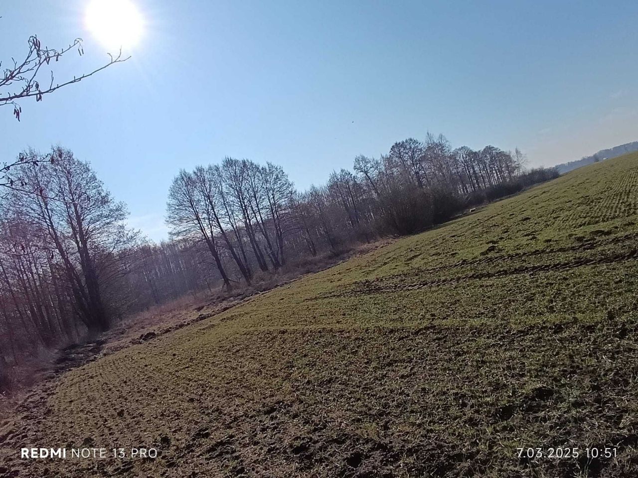 Działka rolno-budowlana Piaseczno. Zdjęcie 5