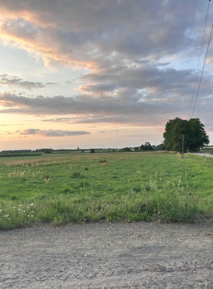 Działka inwestycyjna Żytowice. Zdjęcie 2