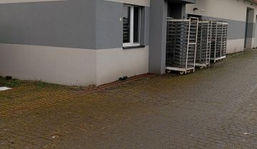 Nieruchomość komercyjna Osiecza Pierwsza