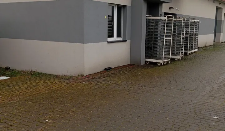 Nieruchomość komercyjna Osiecza Pierwsza
