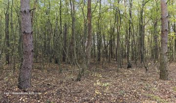 Działka leśna Łódź Feliksin, ul. Ziemiańska