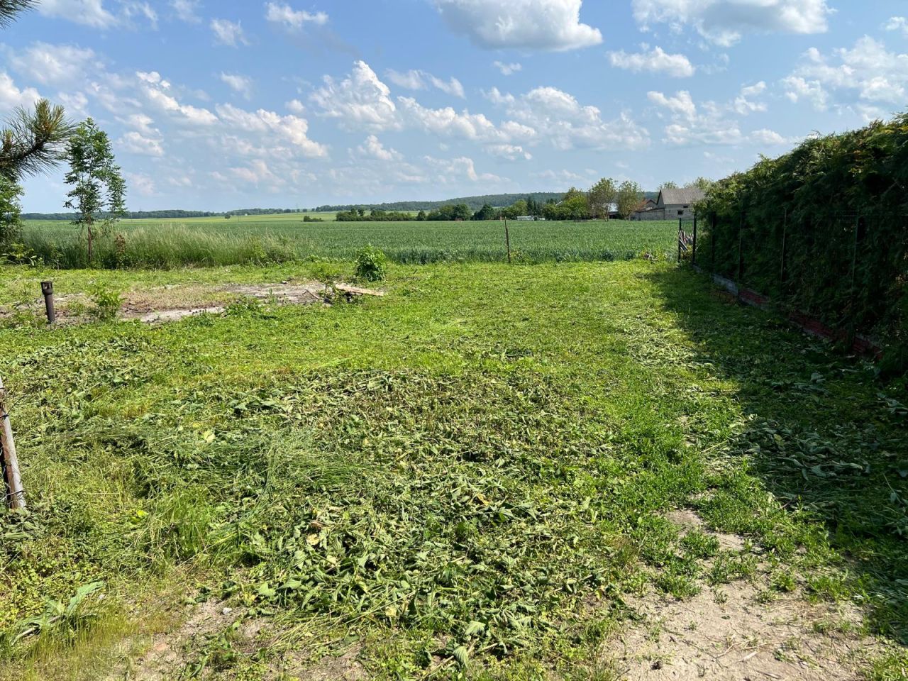 Działka budowlana Łabunie, ul. Wierzbowa