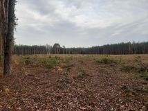 Działka leśna Siemiatycze