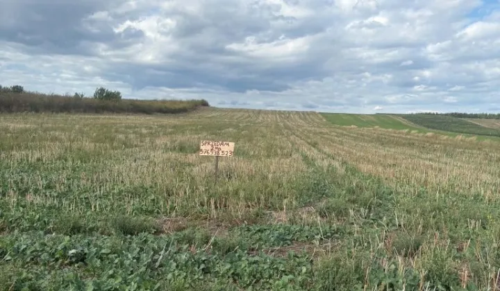 Działka rolna Karczmiska Drugie