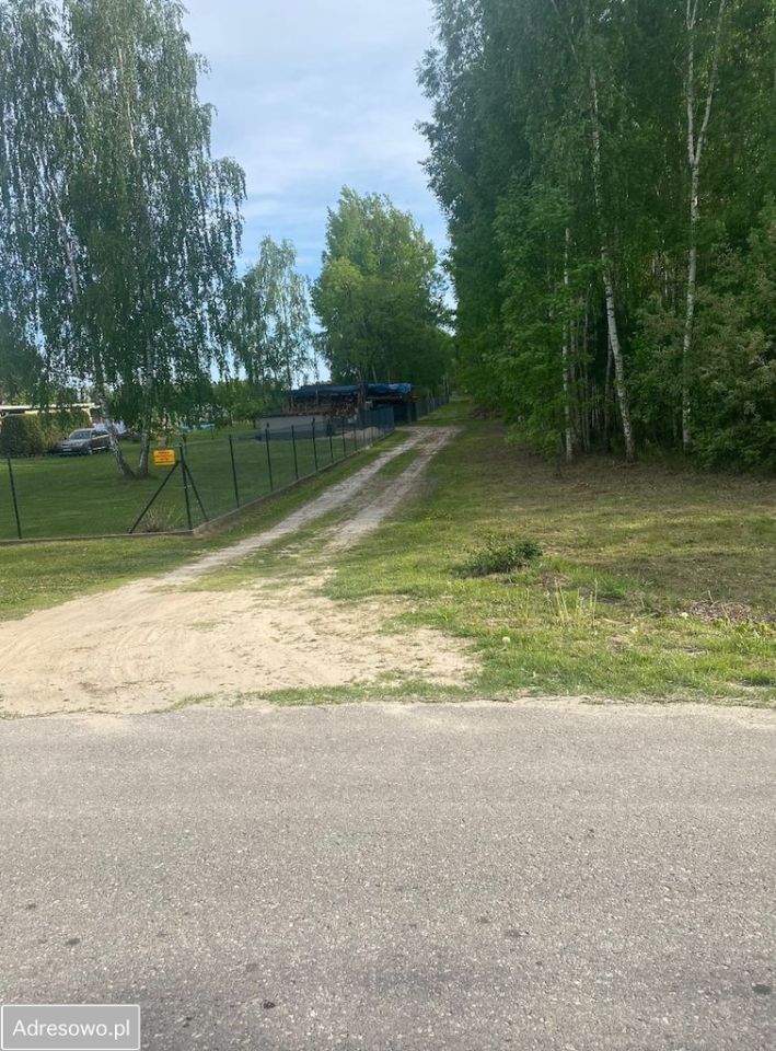 Działka rolna Orzechów-Kolonia. Zdjęcie 2