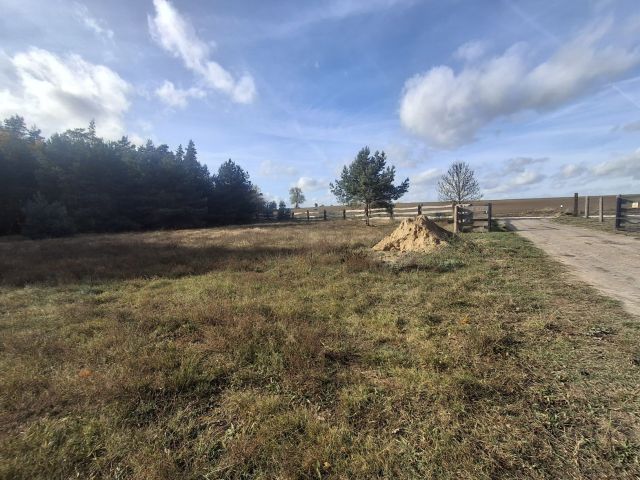 Działka budowlana Świniary. Zdjęcie 1