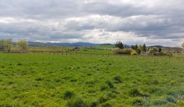 Działka budowlana Piława Górna