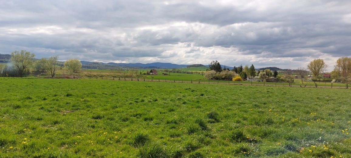 Działka budowlana Piława Górna. Zdjęcie 2