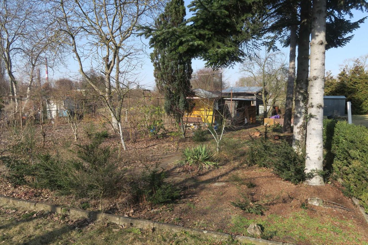 Działka rod Kostrzyn nad Odrą. Zdjęcie 6