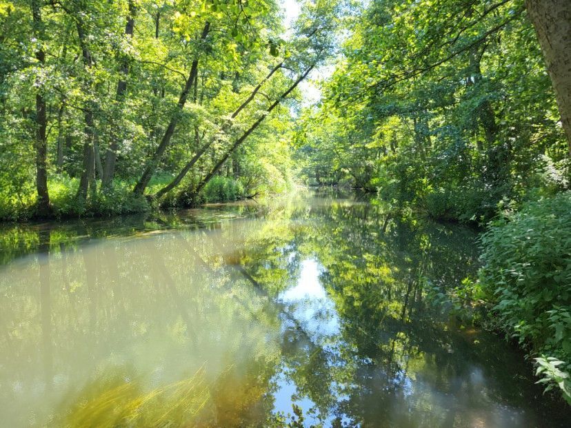 Działka budowlana Łapino Kartuskie. Zdjęcie 11