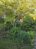 Działka rod Bielsko-Biała Lipnik, ul. Łąkowa. Zdjęcie 3
