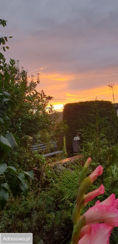 Działka rekreacyjna Perlino. Zdjęcie 3