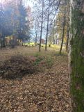 Działka budowlana Zasole Bielańskie. Zdjęcie 2