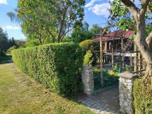 Działka rod Lubin. Zdjęcie 2