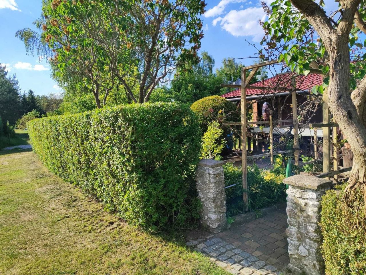 Działka rod Lubin. Zdjęcie 3