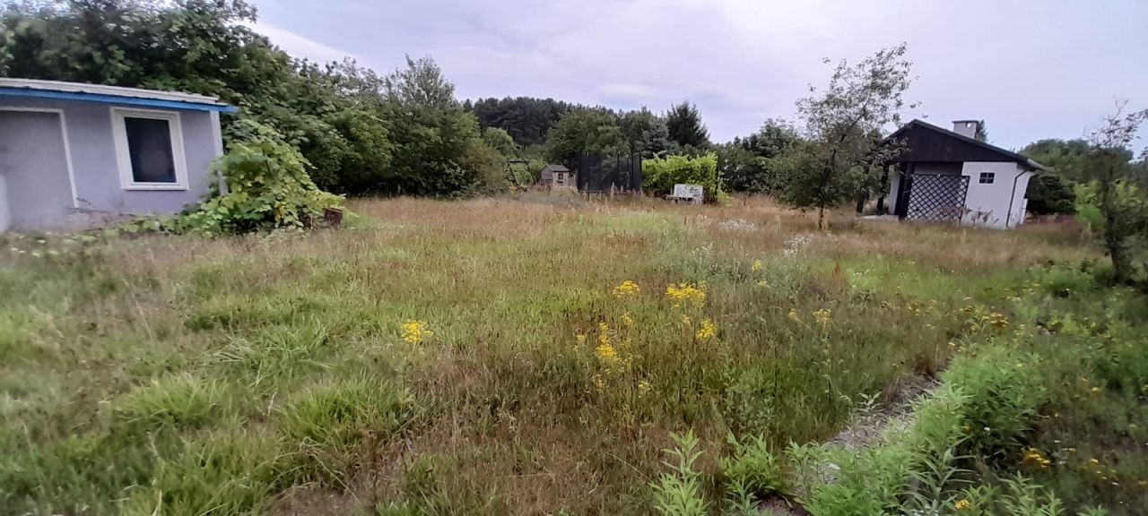 Działka rod Zielona Góra Ochla, ul. Ochla-Kożuchowska. Zdjęcie 13