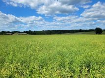 Działka rolna Skrzyniec-Kolonia