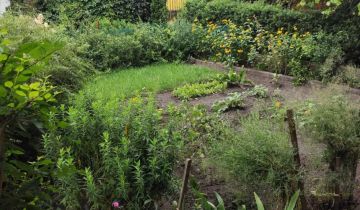 Działka rod Łódź Bałuty, ul. Telefoniczna