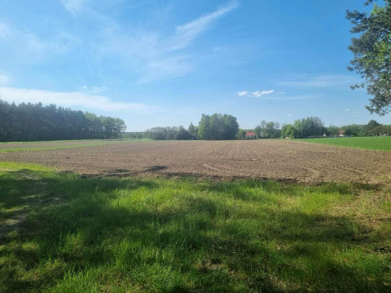 Działka budowlana Skrzynka. Zdjęcie 6