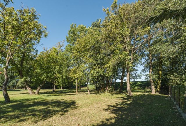 Działka budowlana Opacz. Zdjęcie 24