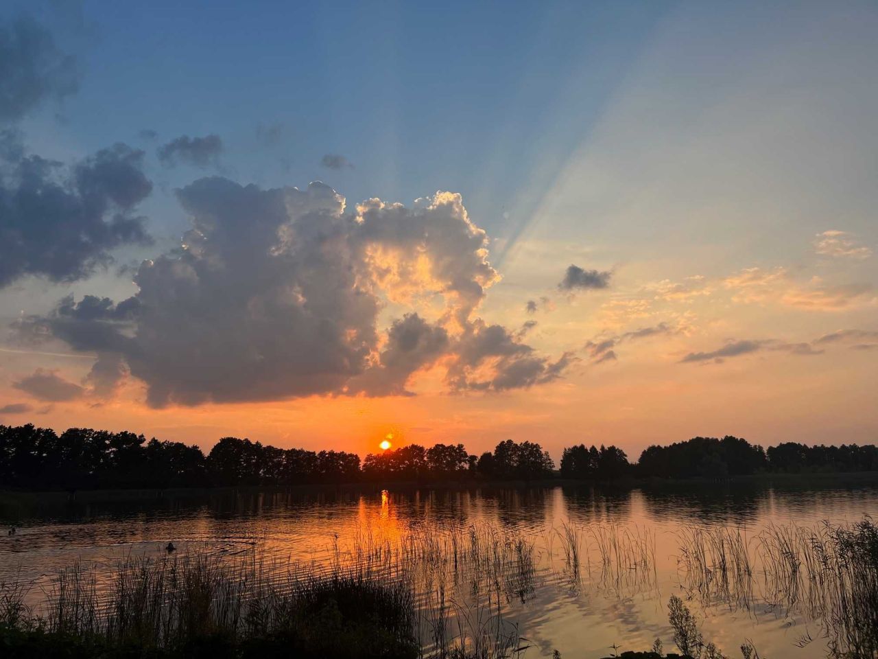Działka budowlana Bronowo. Zdjęcie 4