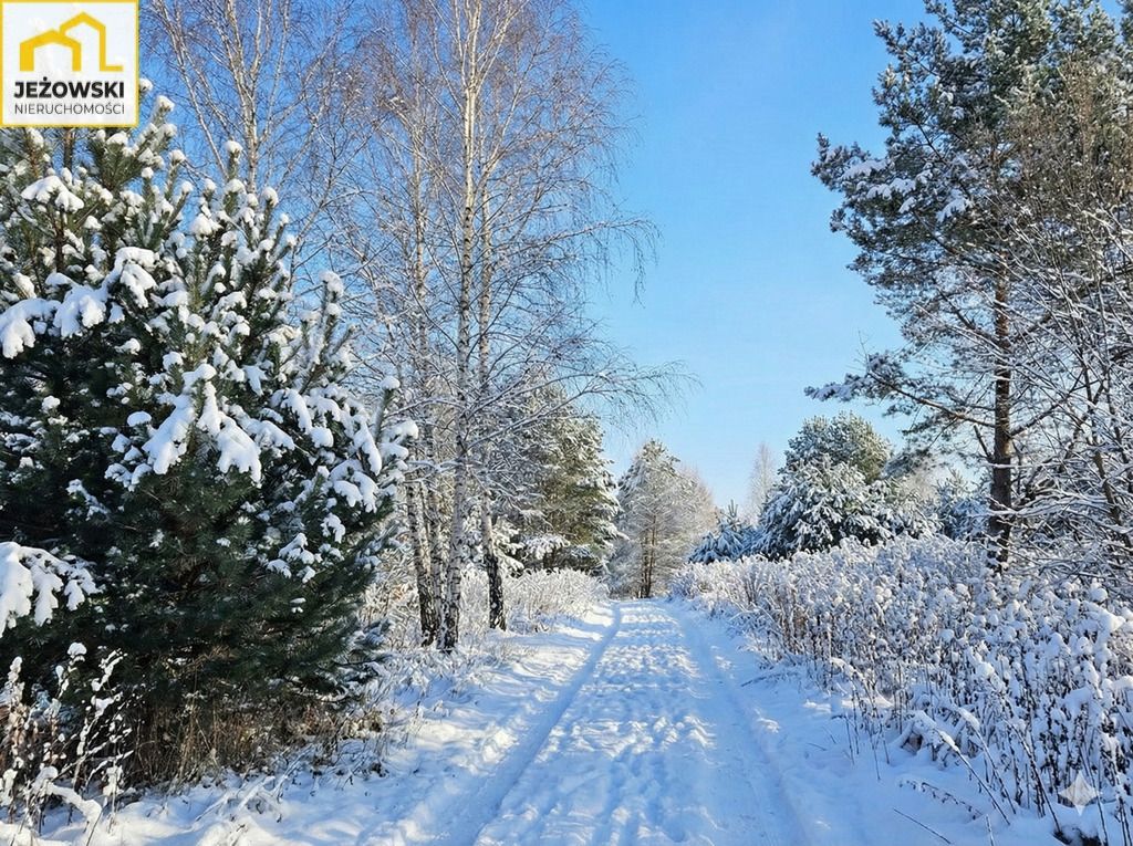 Działka budowlana Kolonia Góra Puławska. Zdjęcie 4