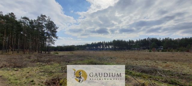 Działka budowlana Czersk, ul. Tucholska. Zdjęcie 11