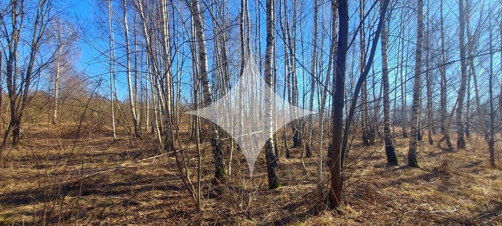 Działka budowlana Różnowo. Zdjęcie 7