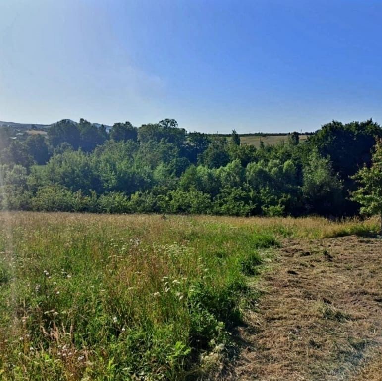 Działka siedliskowa Sadek. Zdjęcie 3