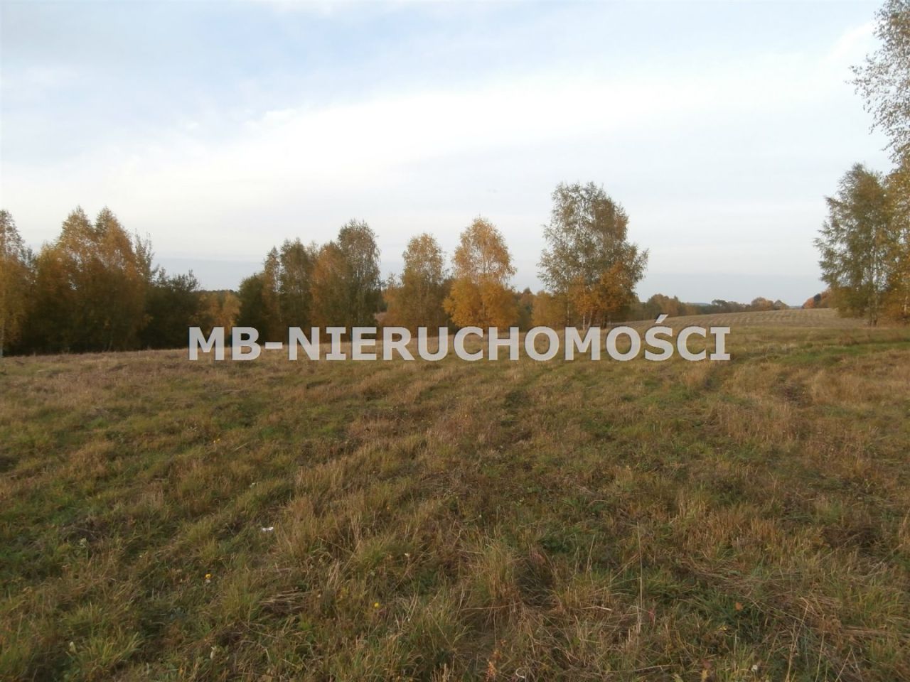 Działka rolno-budowlana Silice. Zdjęcie 8